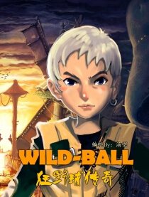 狂野球传奇