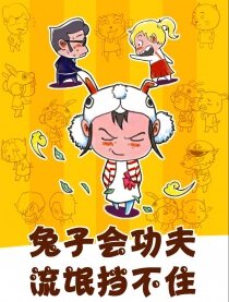 兔子会功夫，流氓挡不住,兔子会功夫，流氓挡不住电影