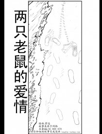 两只老鼠的爱情