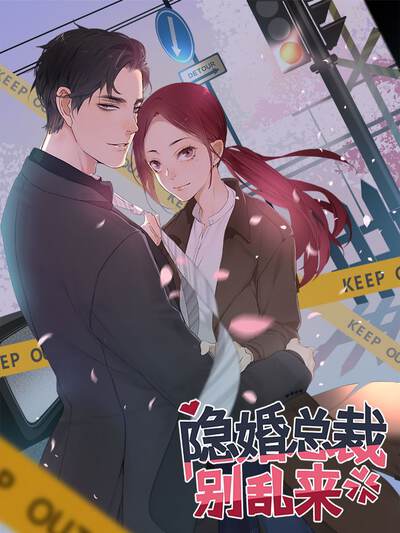 隐婚总裁别乱来