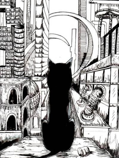 猫,猫漫画