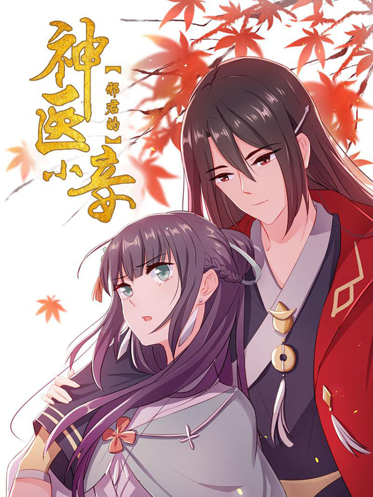 邪君的神医小妾