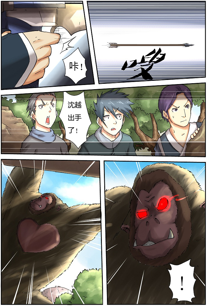 5.jpg