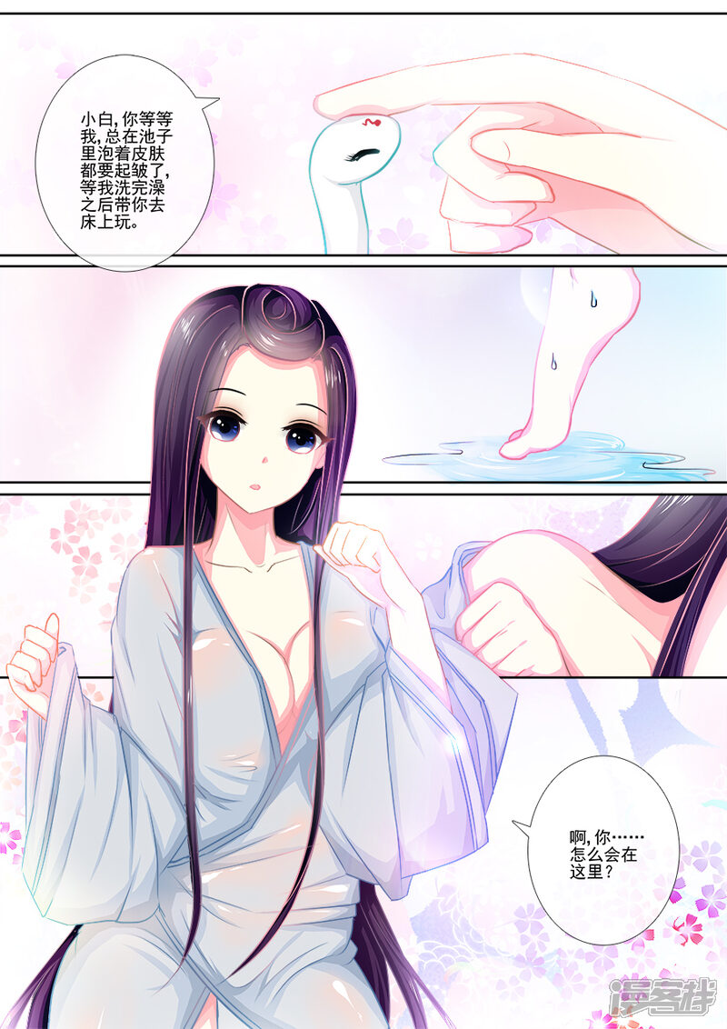 【魔妃嫁到】漫画-（第14话 以小白之名）章节漫画下拉式图片-第4张图片