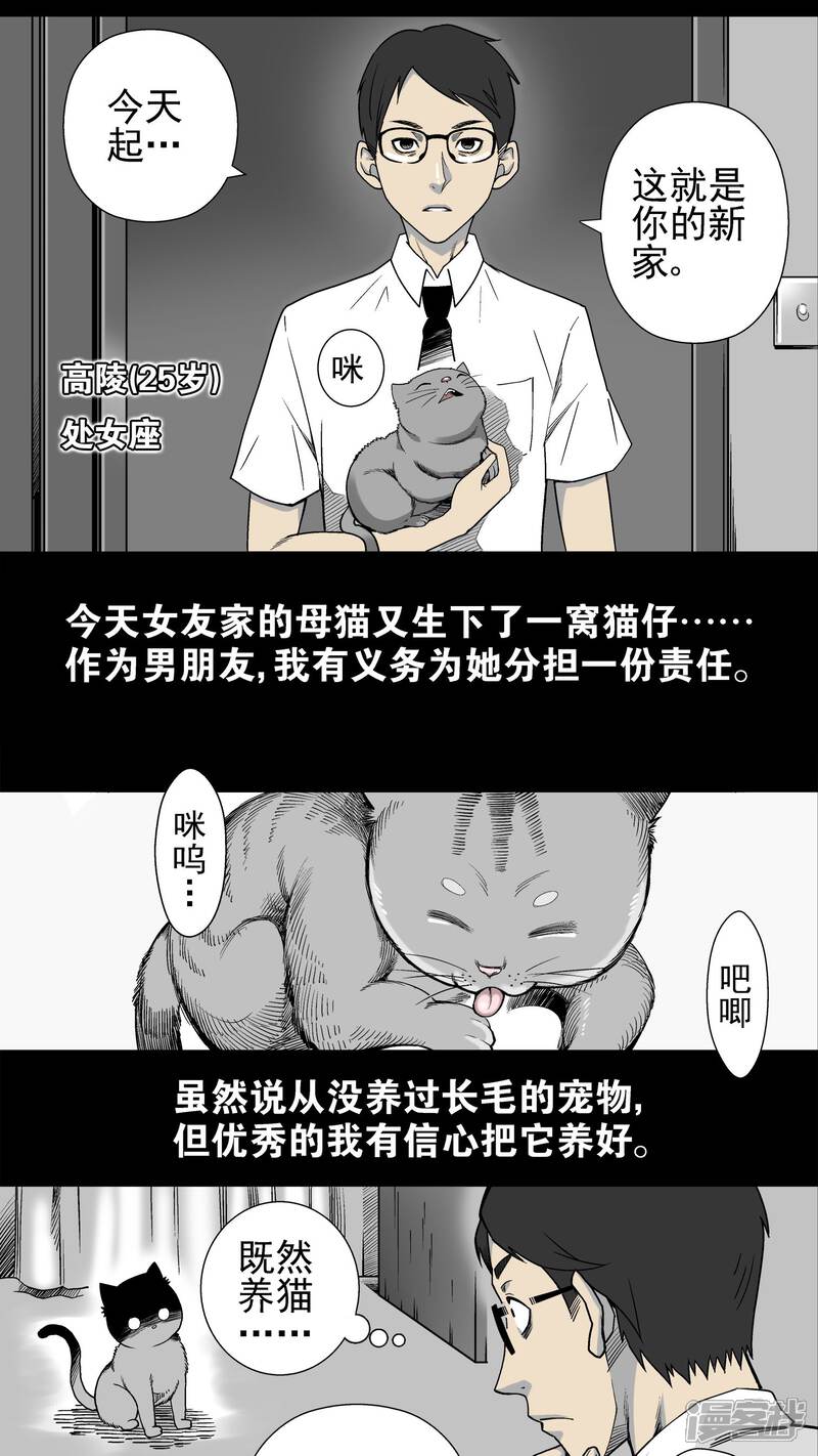 1话猫砂 1 高陵先生土豪漫画 恐怖漫画 韩漫网 Hman5 Com