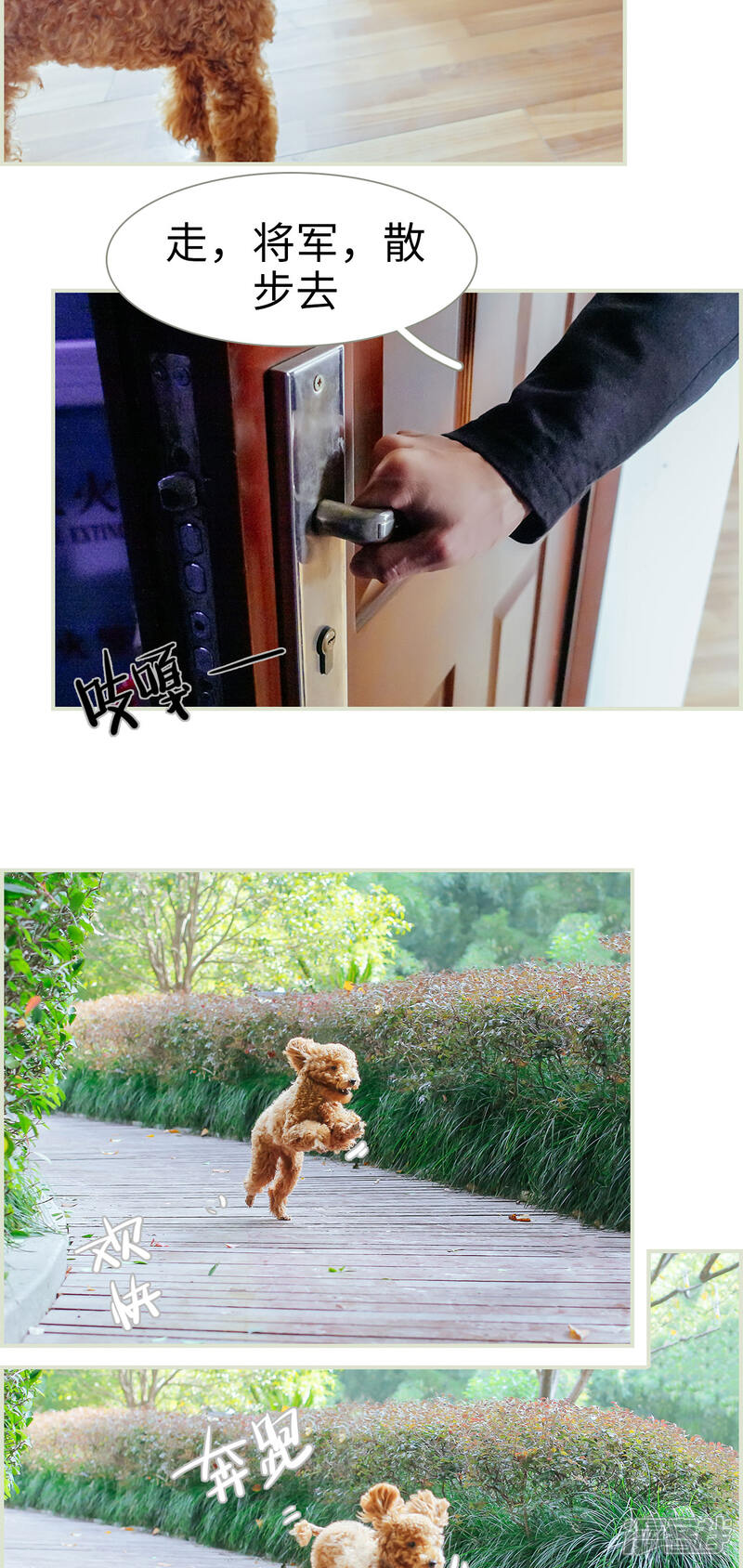 第24话-乖嫩甜妻-剧能玩（第12张）