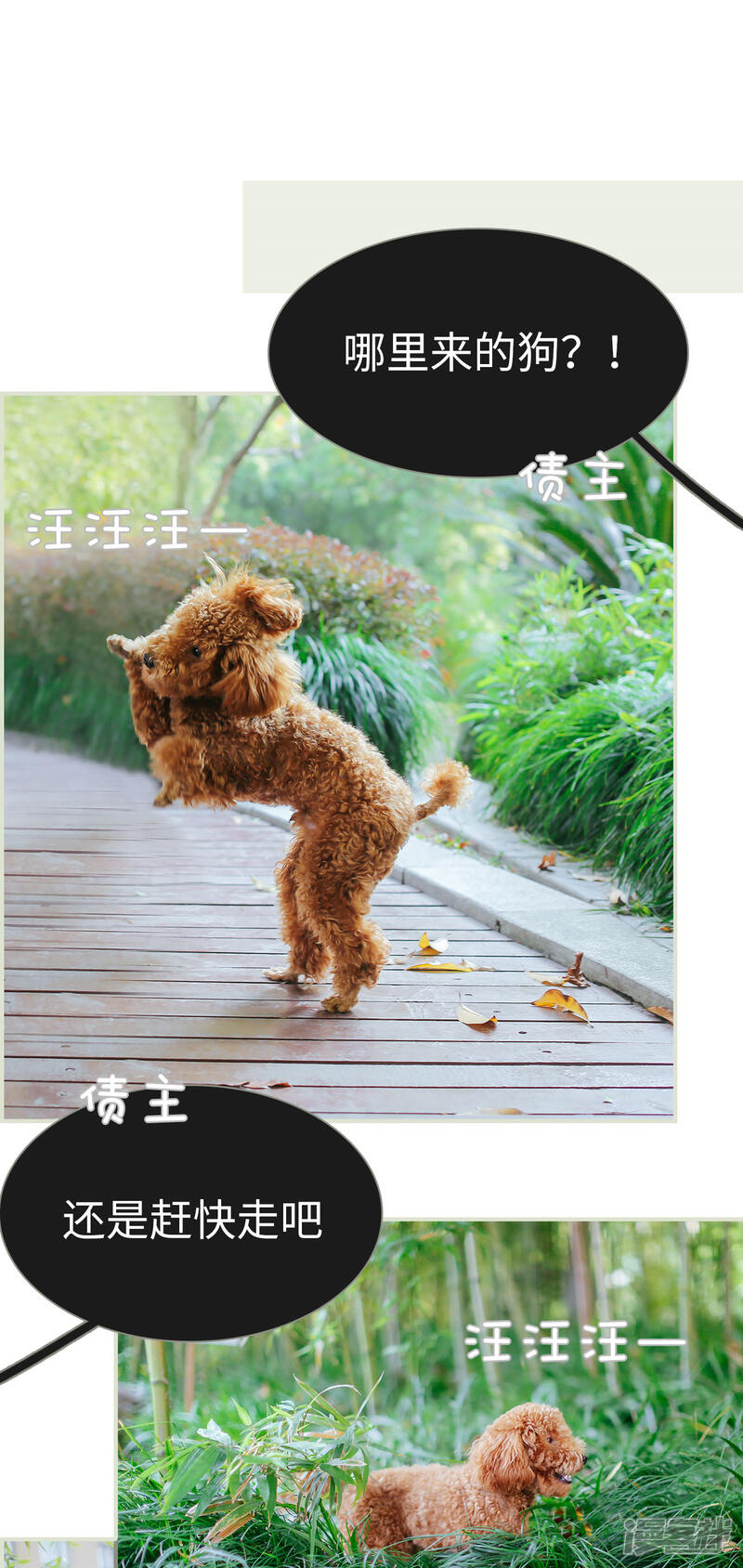 第25话-乖嫩甜妻-剧能玩（第4张）