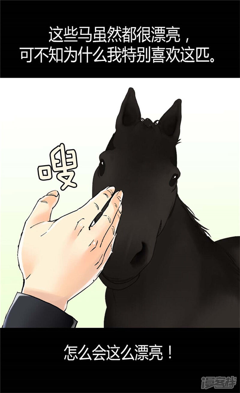 【异世界皇妃】漫画-（第35话 挑选坐骑）章节漫画下拉式图片-第6张图片