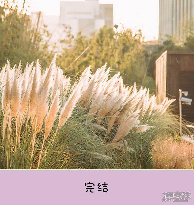 第50话-医冠楚楚-剧能玩（第24张）