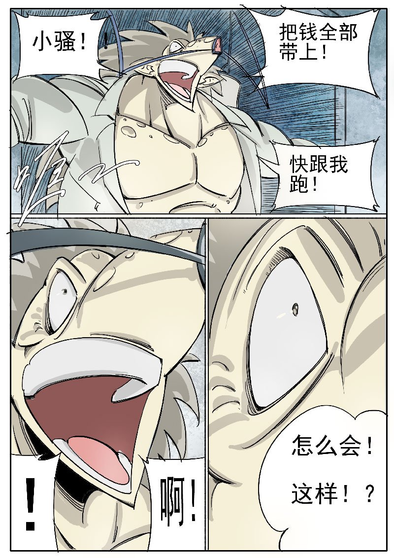 8.jpg