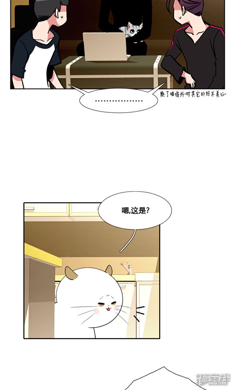 【ICE-Cold要员的捡猫事件】漫画-（第92话）章节漫画下拉式图片-12.jpg