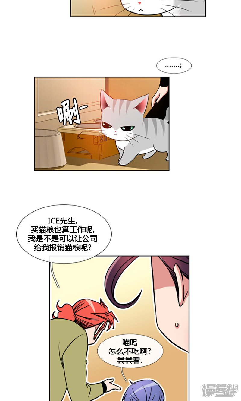 【ICE-Cold要员的捡猫事件】漫画-（第92话）章节漫画下拉式图片-17.jpg