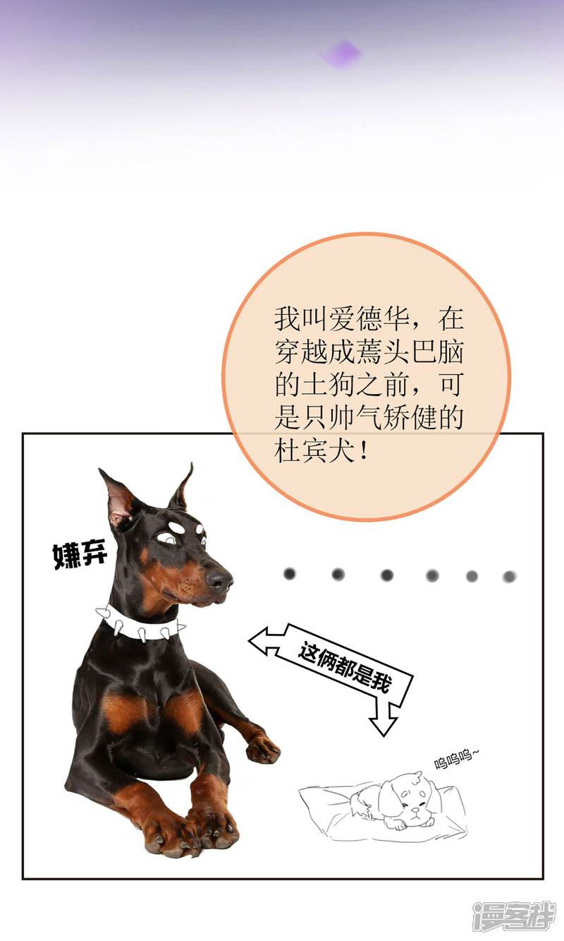 【盛世宠婚：老婆你别跑】漫画-（暖场小剧场 忠犬爱德华）章节漫画下拉式图片-2.jpg