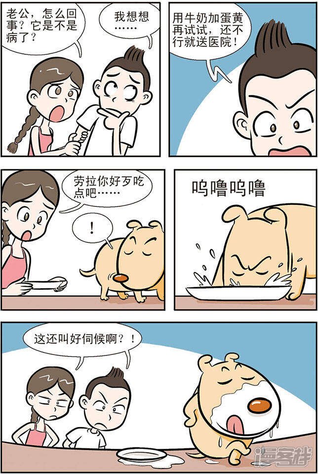 寄养的狗漫画韩漫寄养的狗太郎漫画 自媒体热点 寄养的狗漫画韩漫寄养的狗太郎漫画 自媒体热点
