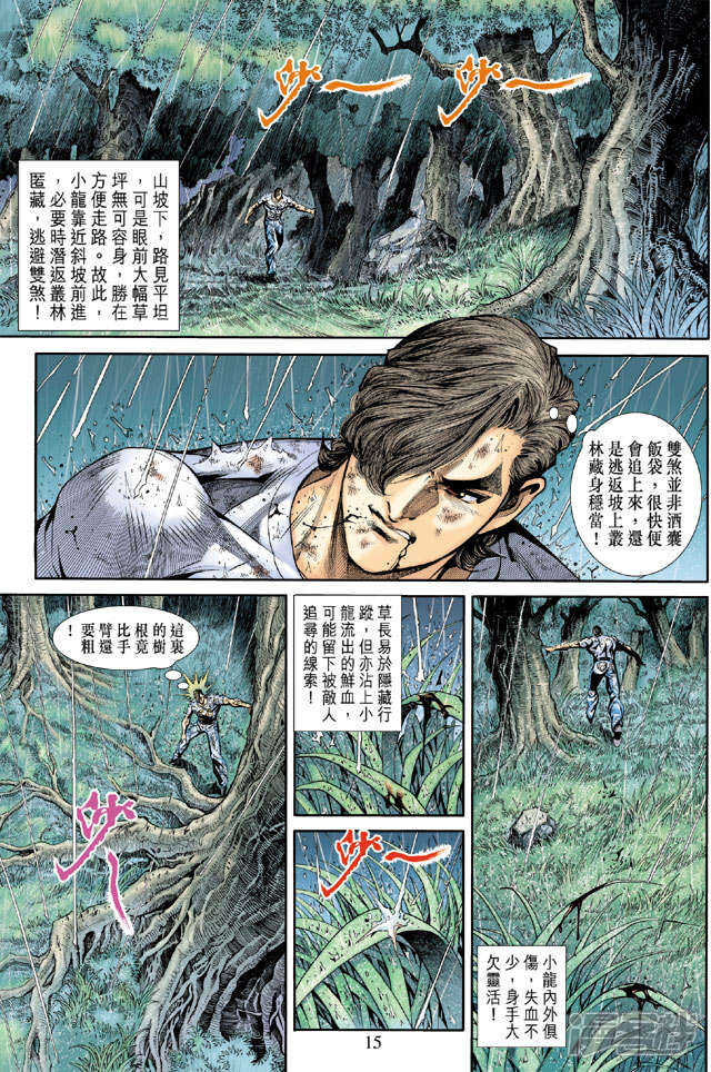 【新著龙虎门】漫画-（第177话）章节漫画下拉式图片-第15张图片
