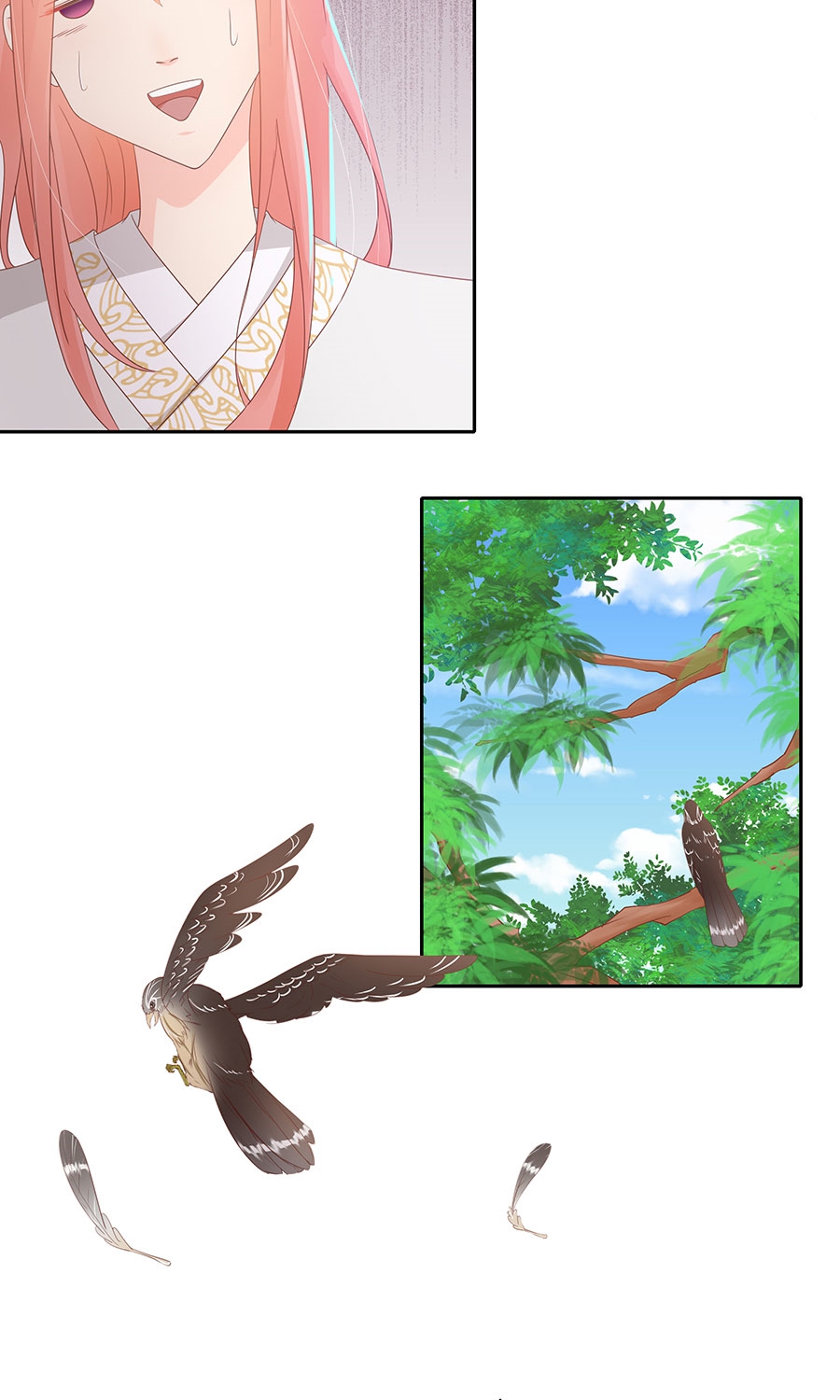 24.jpg