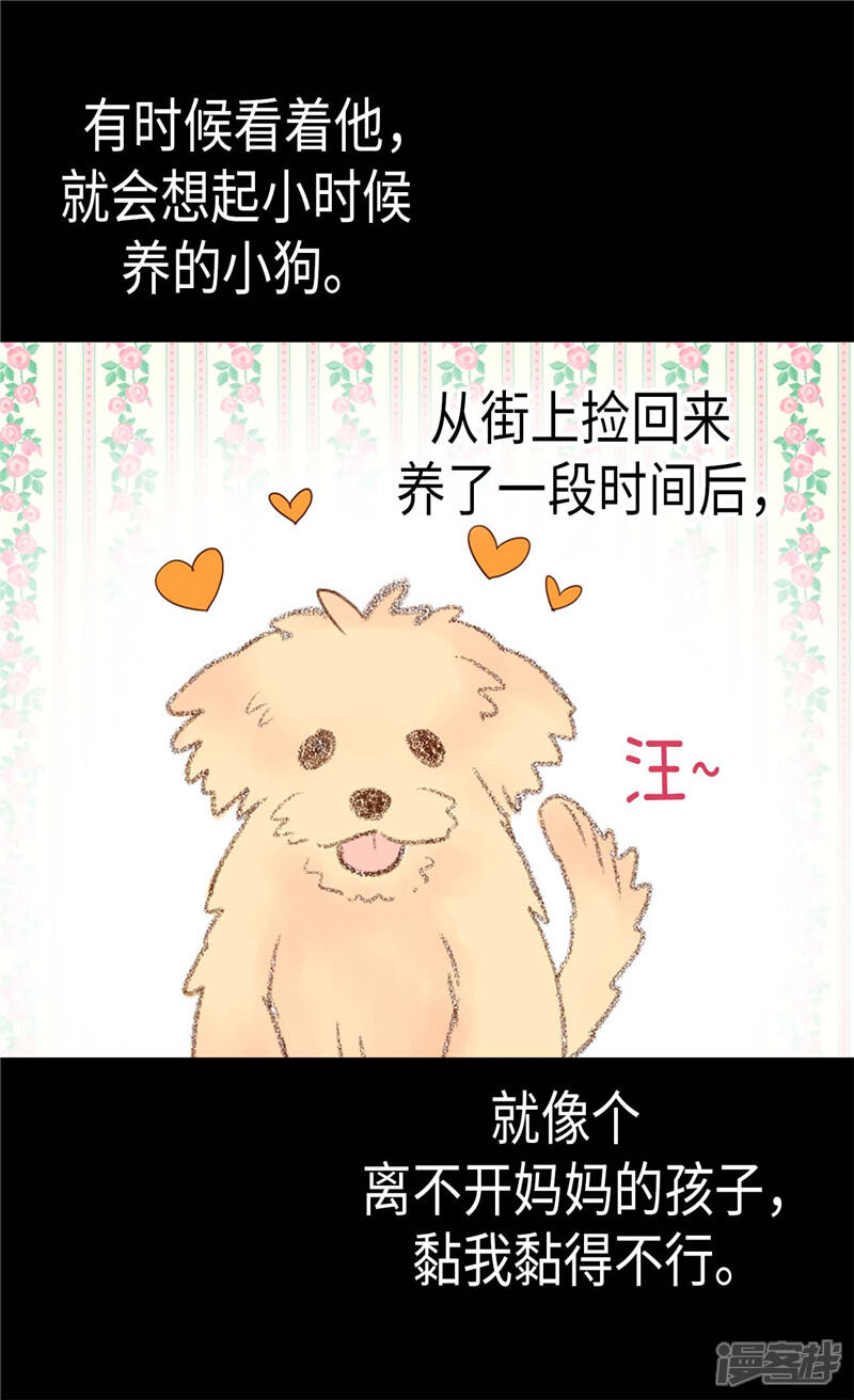 【异世界皇妃】漫画-（第177话 彼此的担心）章节漫画下拉式图片-第6张图片