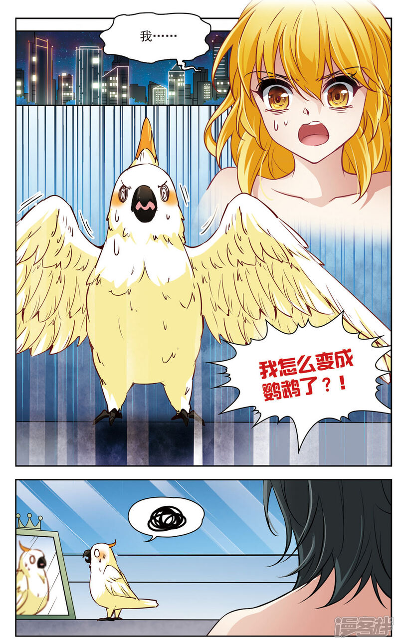 【玄羽恋歌】漫画-（第6话 救命！我变成鹦鹉了？！1）章节漫画下拉式图片-第3张图片