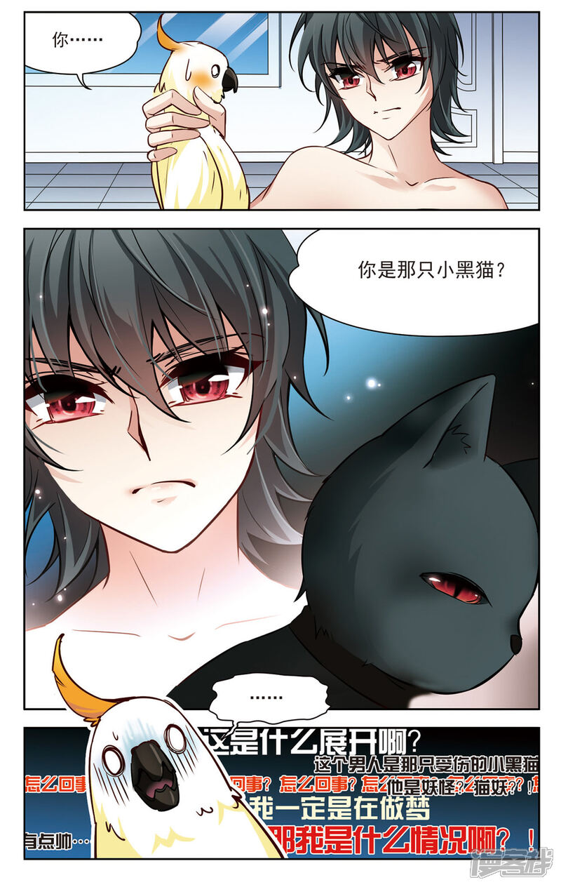 【玄羽恋歌】漫画-（第6话 救命！我变成鹦鹉了？！1）章节漫画下拉式图片-第5张图片