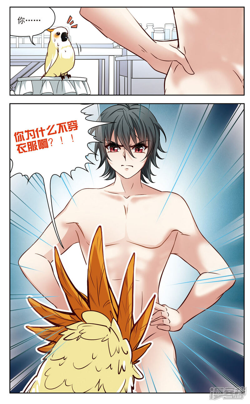 【玄羽恋歌】漫画-（第7话 救命！我变成鹦鹉了？！2）章节漫画下拉式图片-第2张图片