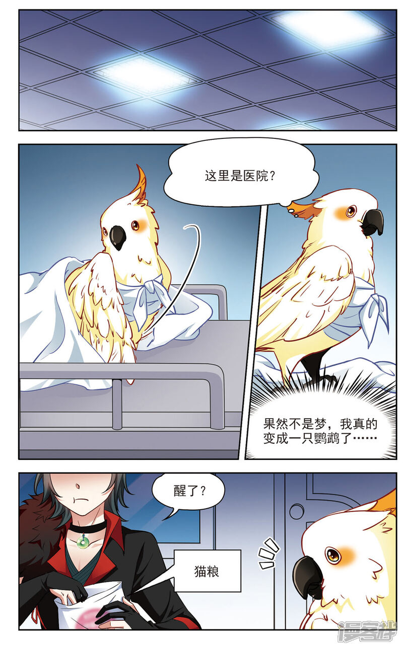 【玄羽恋歌】漫画-（第11话 深夜惊变3）章节漫画下拉式图片-第2张图片