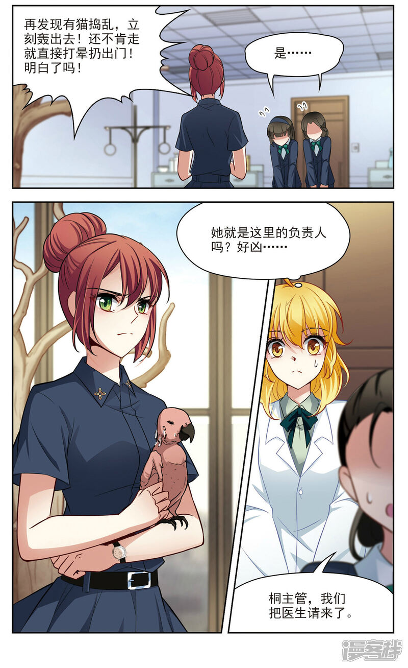 【玄羽恋歌】漫画-（第24话 假冒兽医1）章节漫画下拉式图片-第1张图片