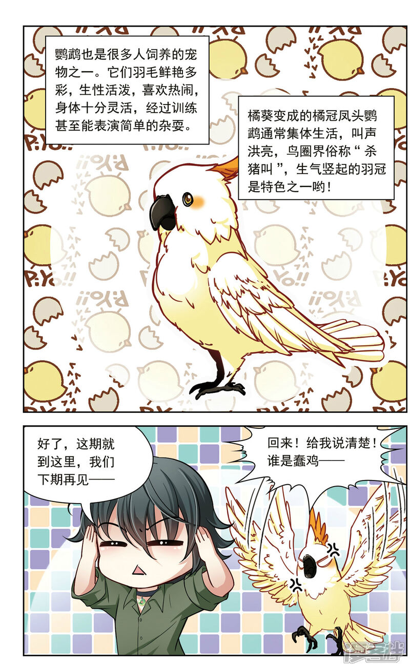 【玄羽恋歌】漫画-（第26话 假冒兽医3）章节漫画下拉式图片-第11张图片