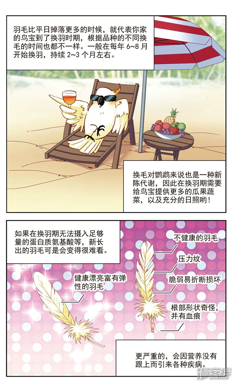 【玄羽恋歌】漫画-（第38话 新的开始3）章节漫画下拉式图片-第10张图片