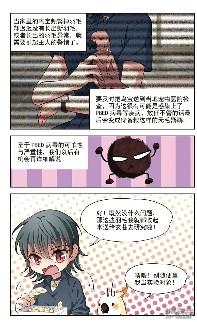 【玄羽恋歌】漫画-（第38话 新的开始3）章节漫画下拉式图片-第11张图片