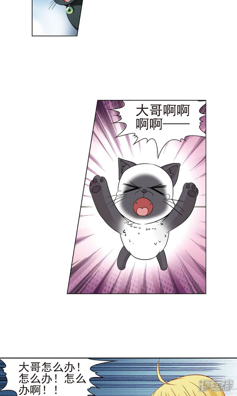 【玄羽恋歌】漫画-（第64话 失踪的玄缃1）章节漫画下拉式图片-第22张图片