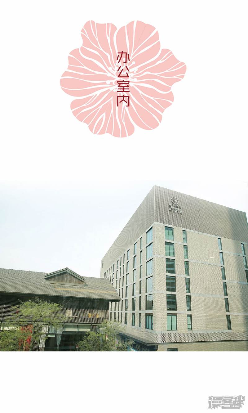 第81话-木木已成舟-剧能玩（第2张）
