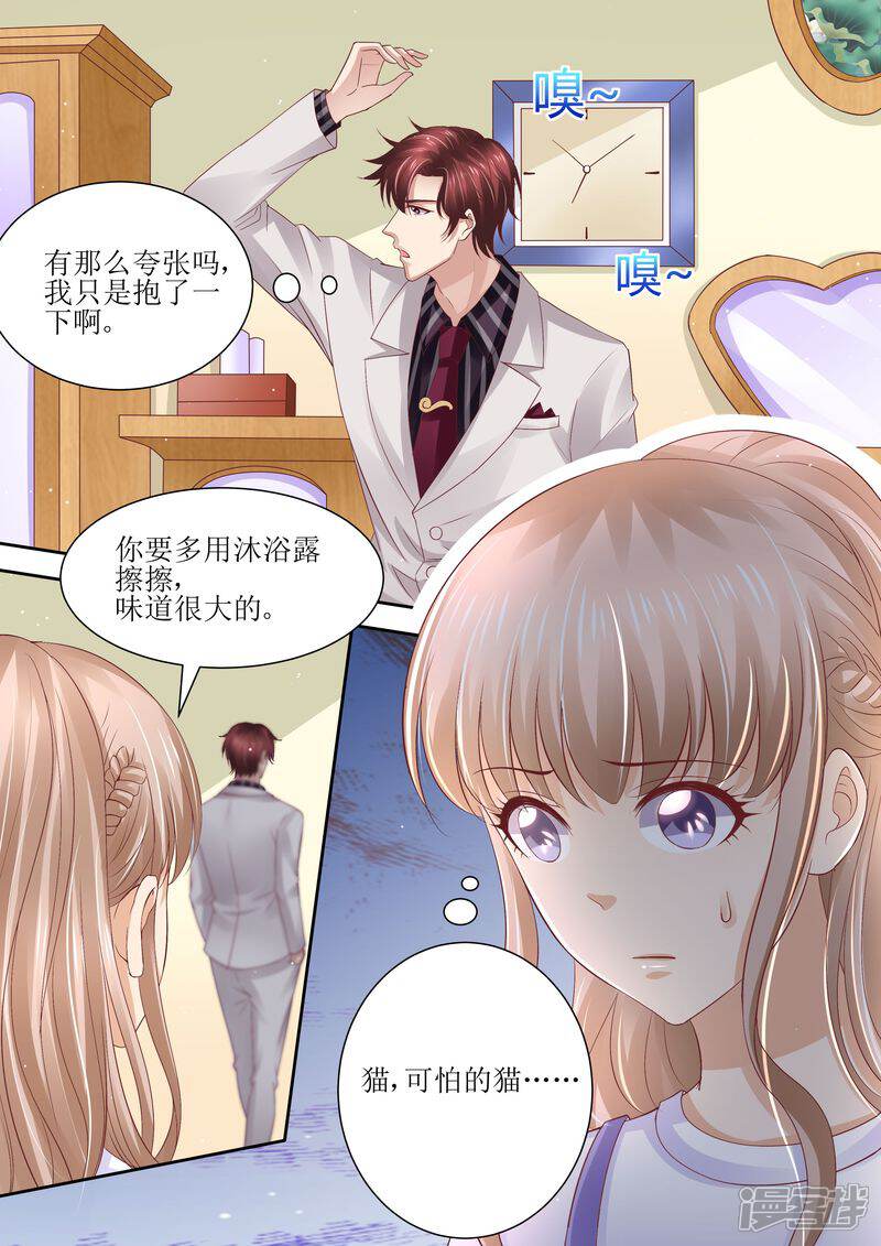 第73话关于猫的往事-天价豪门:夫人又跑了-畅文文化（第2张）
