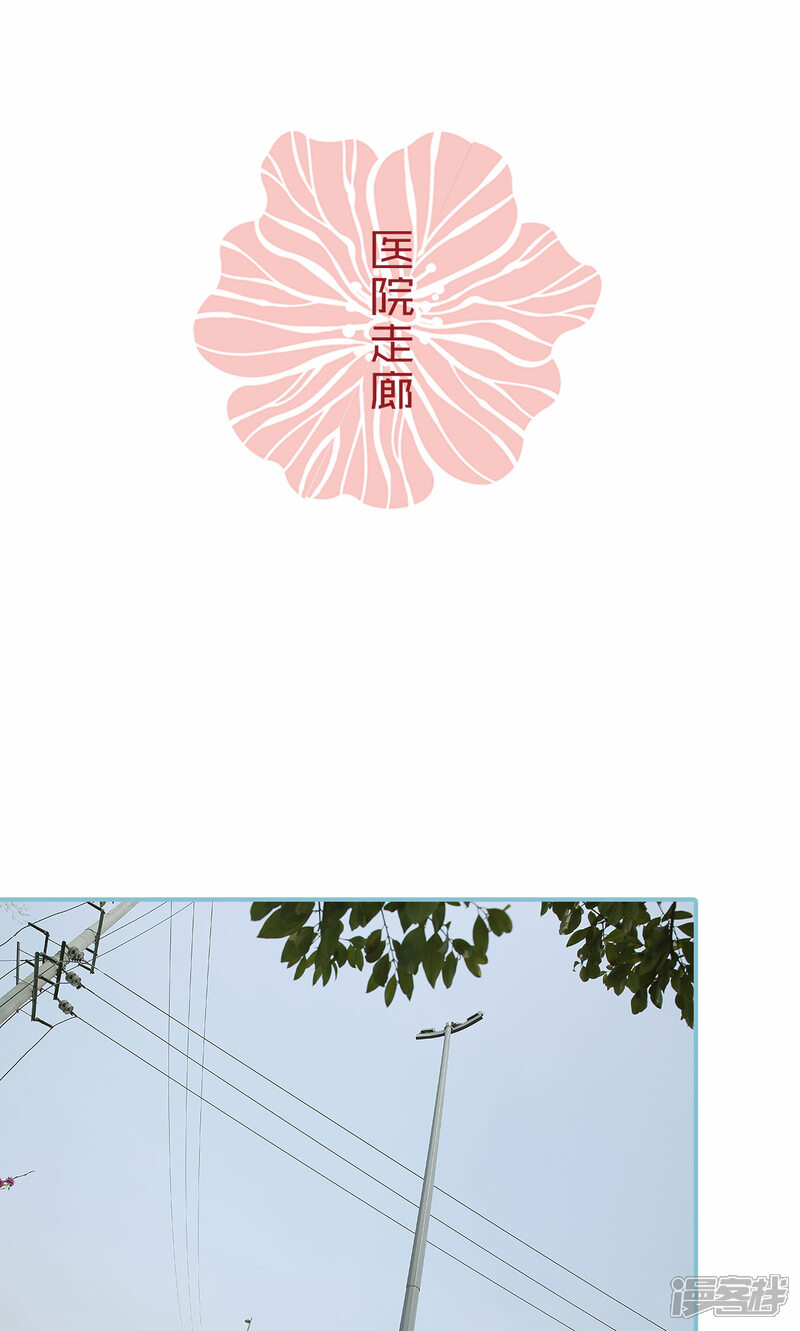 第99话-木木已成舟-剧能玩（第2张）