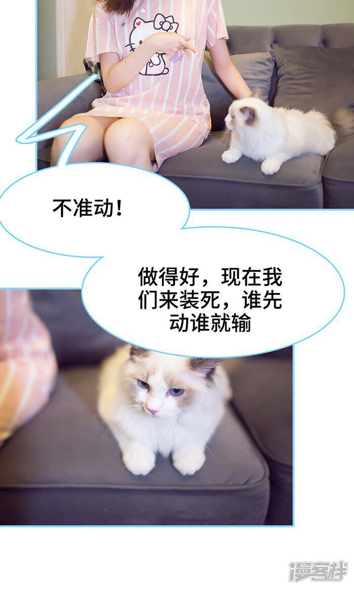 第31话-闪婚老公太能干-剧能玩（第19张）