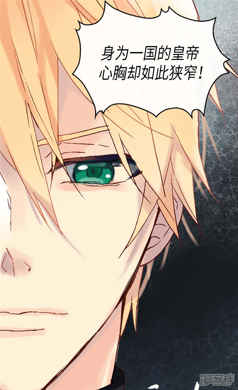【异世界皇妃】漫画-（第217话 怎么会轻易放过你）章节漫画下拉式图片-第15张图片
