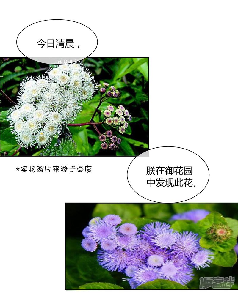 【陛下！热点蹭不蹭】漫画-（第26话 人模狗样的太子）章节漫画下拉式图片-第12张图片