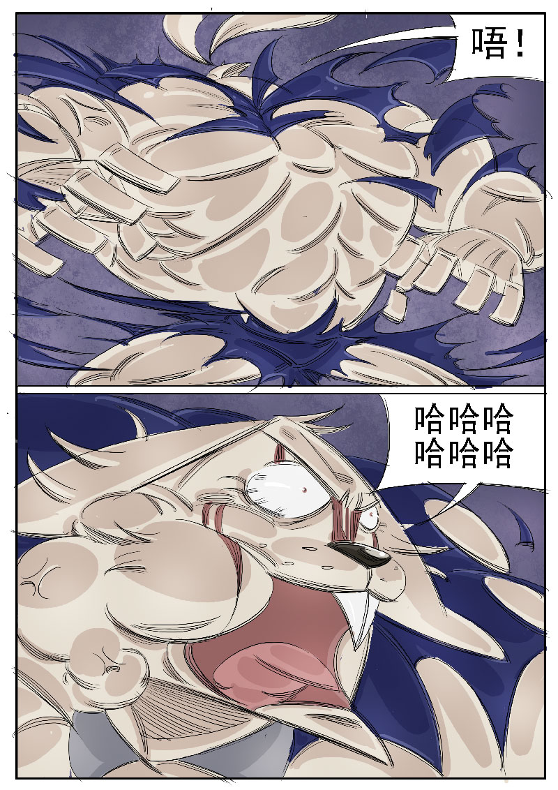 13.jpg