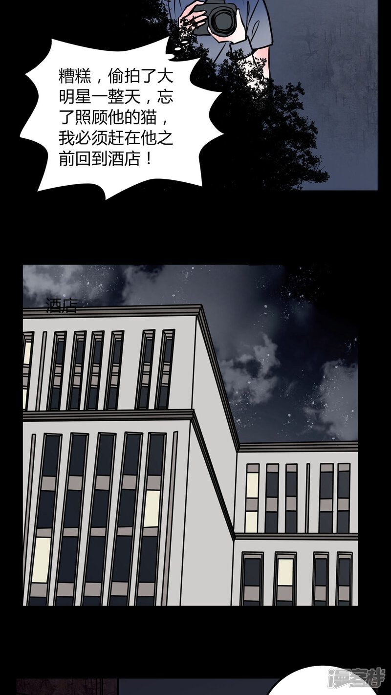 第58话流浪猫-女巫重生记-可米酷（第14张）