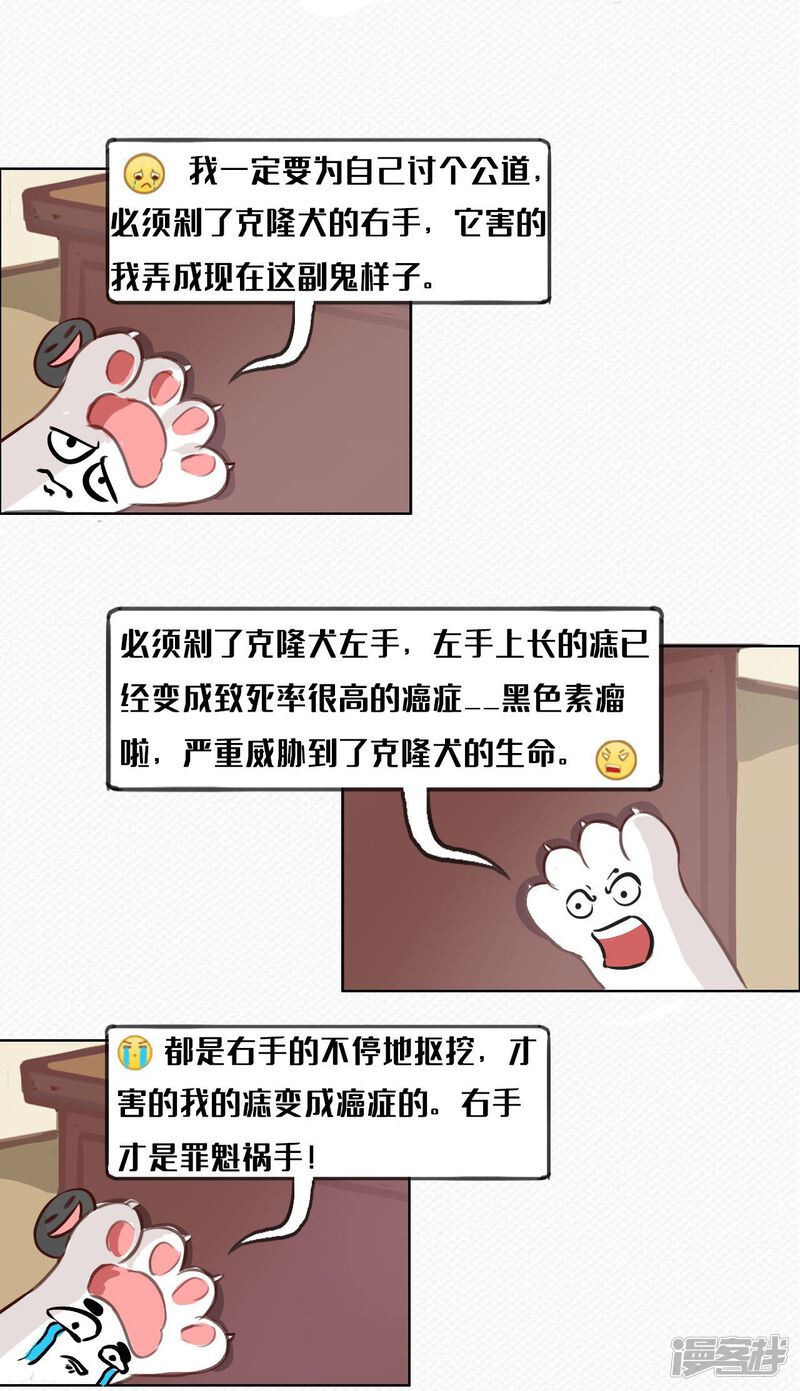 5dda805adcf50-1280x2226.jpg!page-800