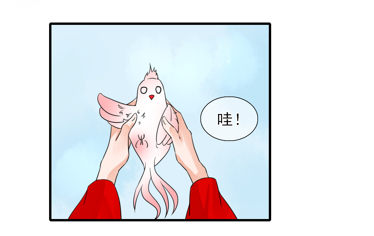 40