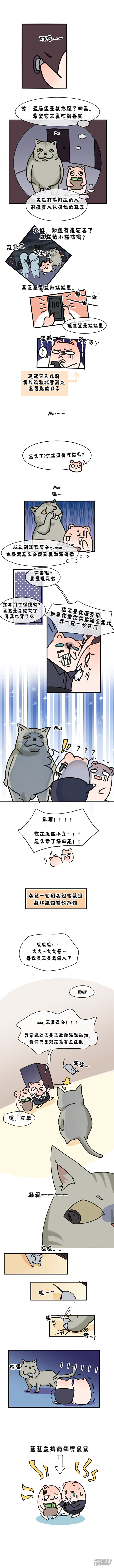 【king of chairmen】漫画-（missing cat04）章节漫画下拉式图片-1.jpg