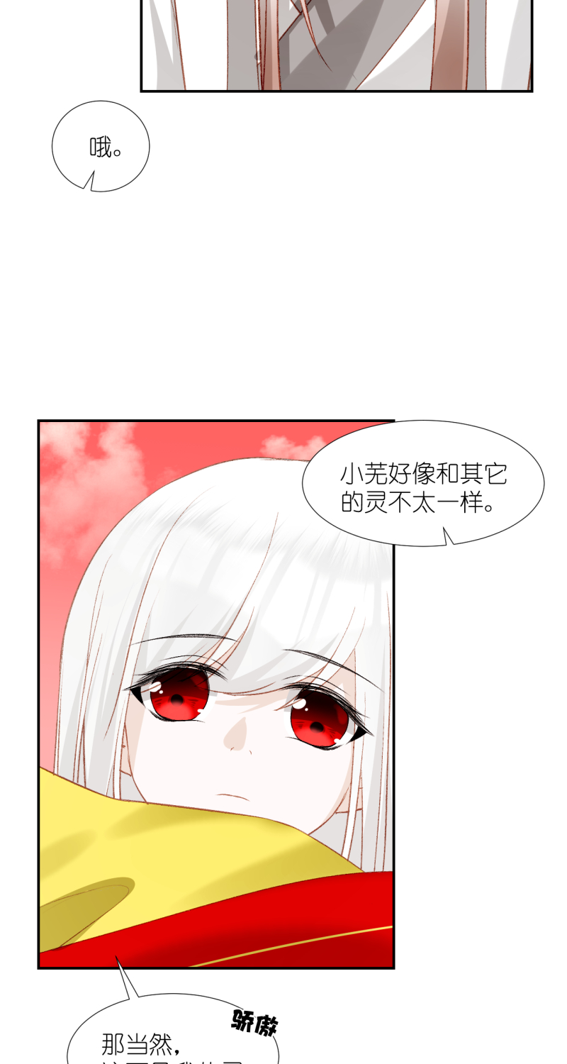 53