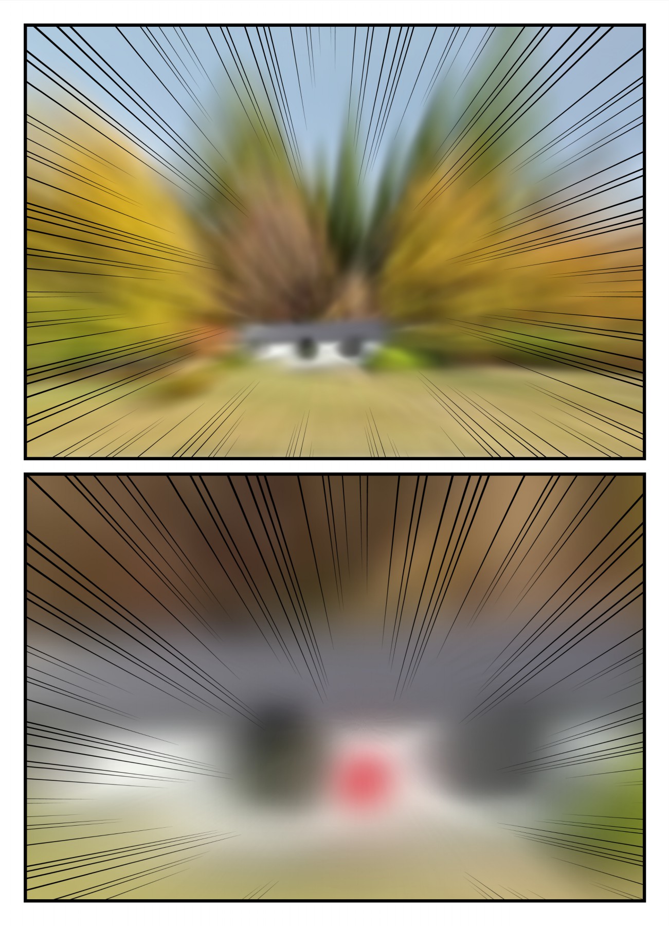 51