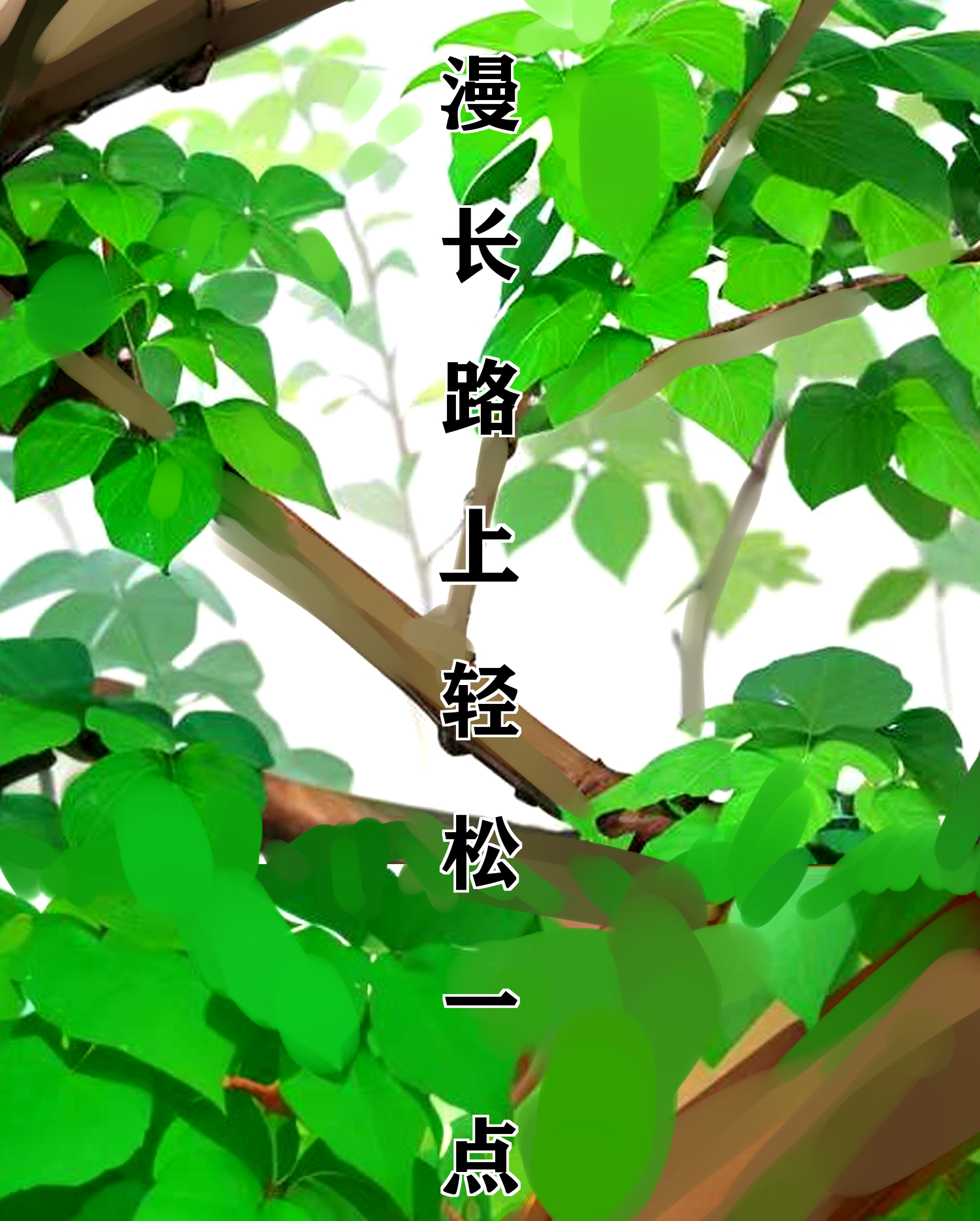64