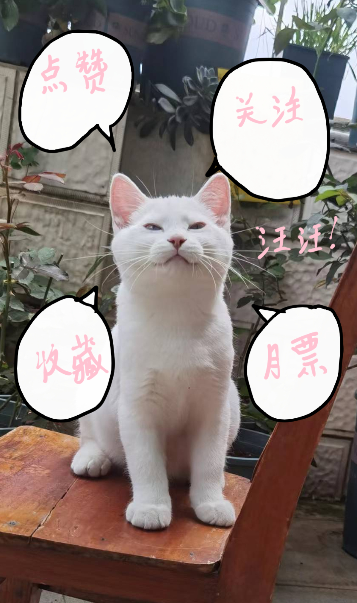 121