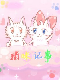 猫咪记事