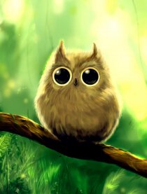 咖啡的日常小作