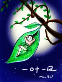 一叶一风