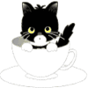 幸福窝里的猫