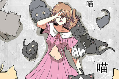 你在奔向梦想的路途上遇过什么困难？